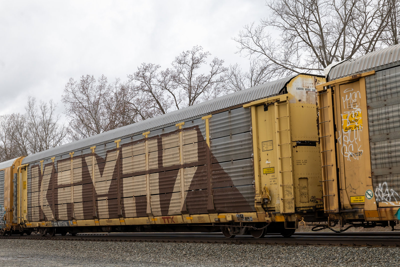 TTGX 977176
