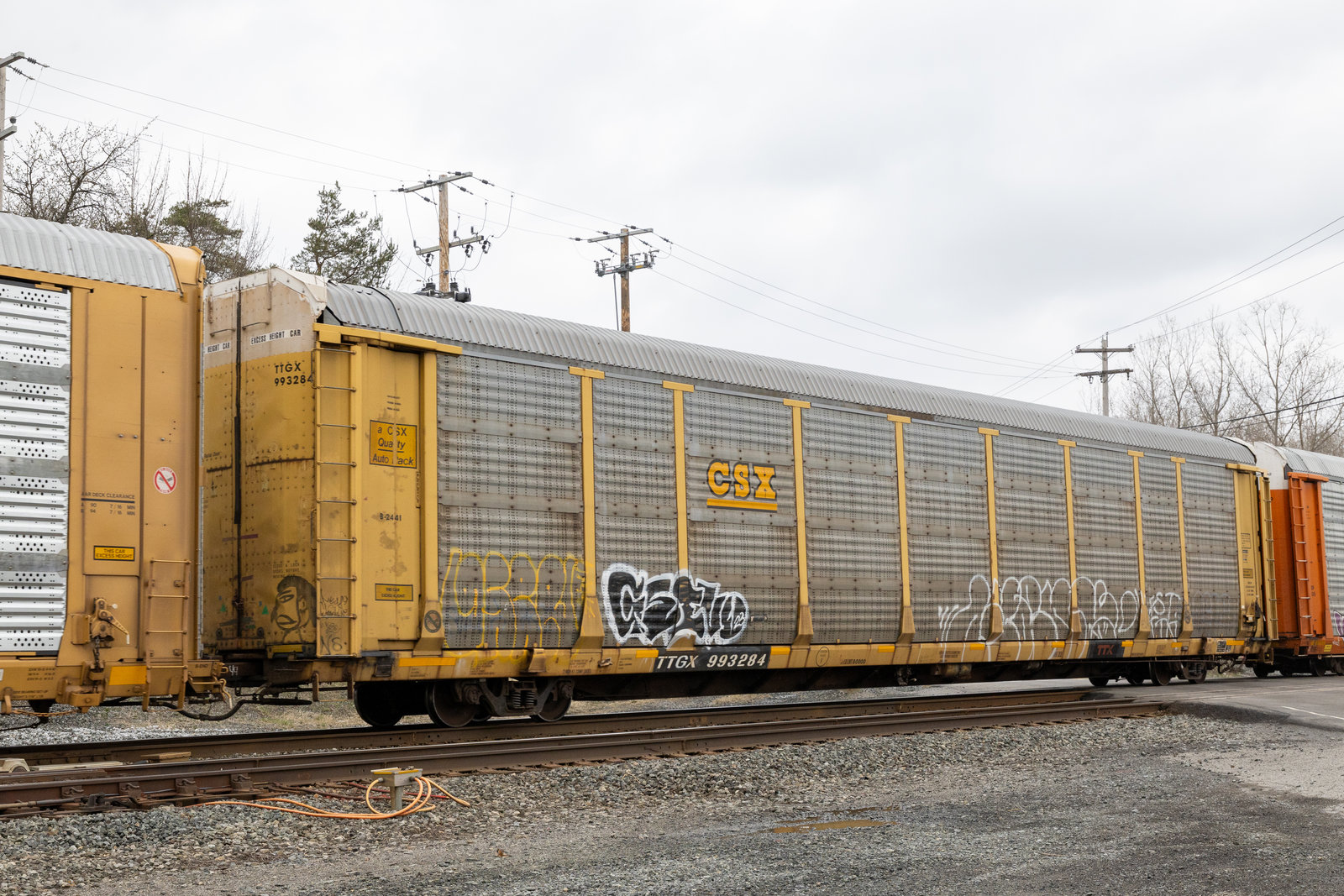 TTGX 993284