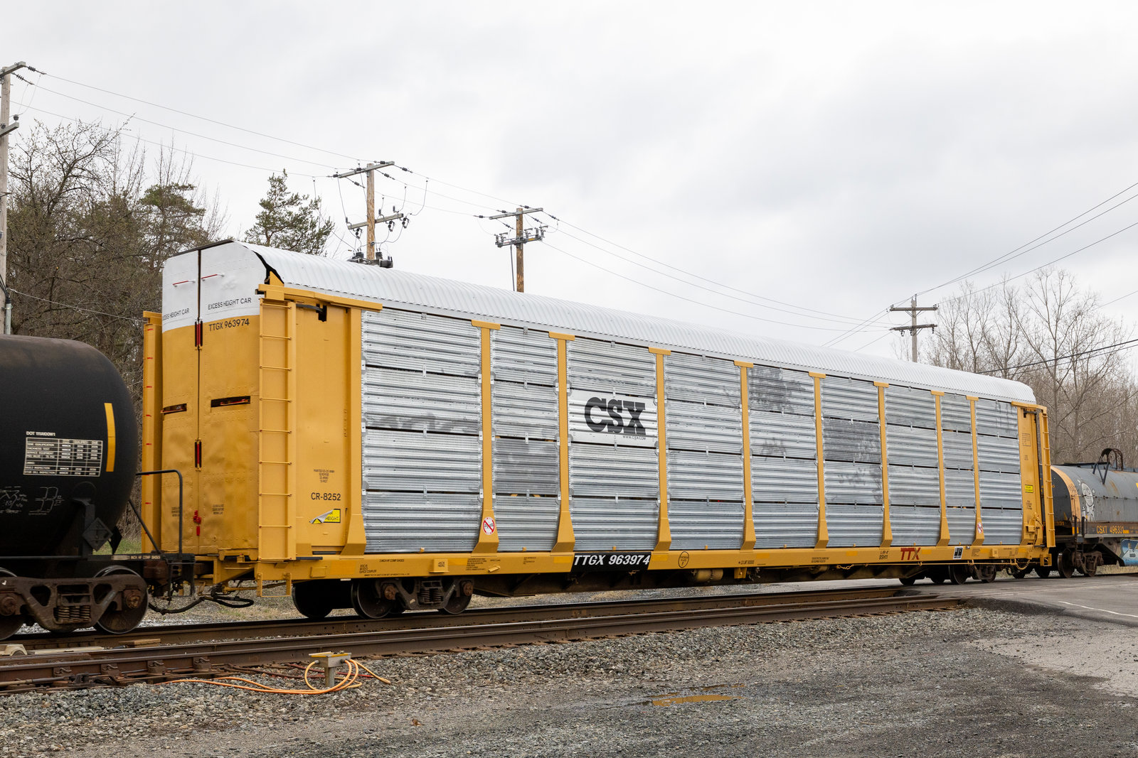 TTGX 963974