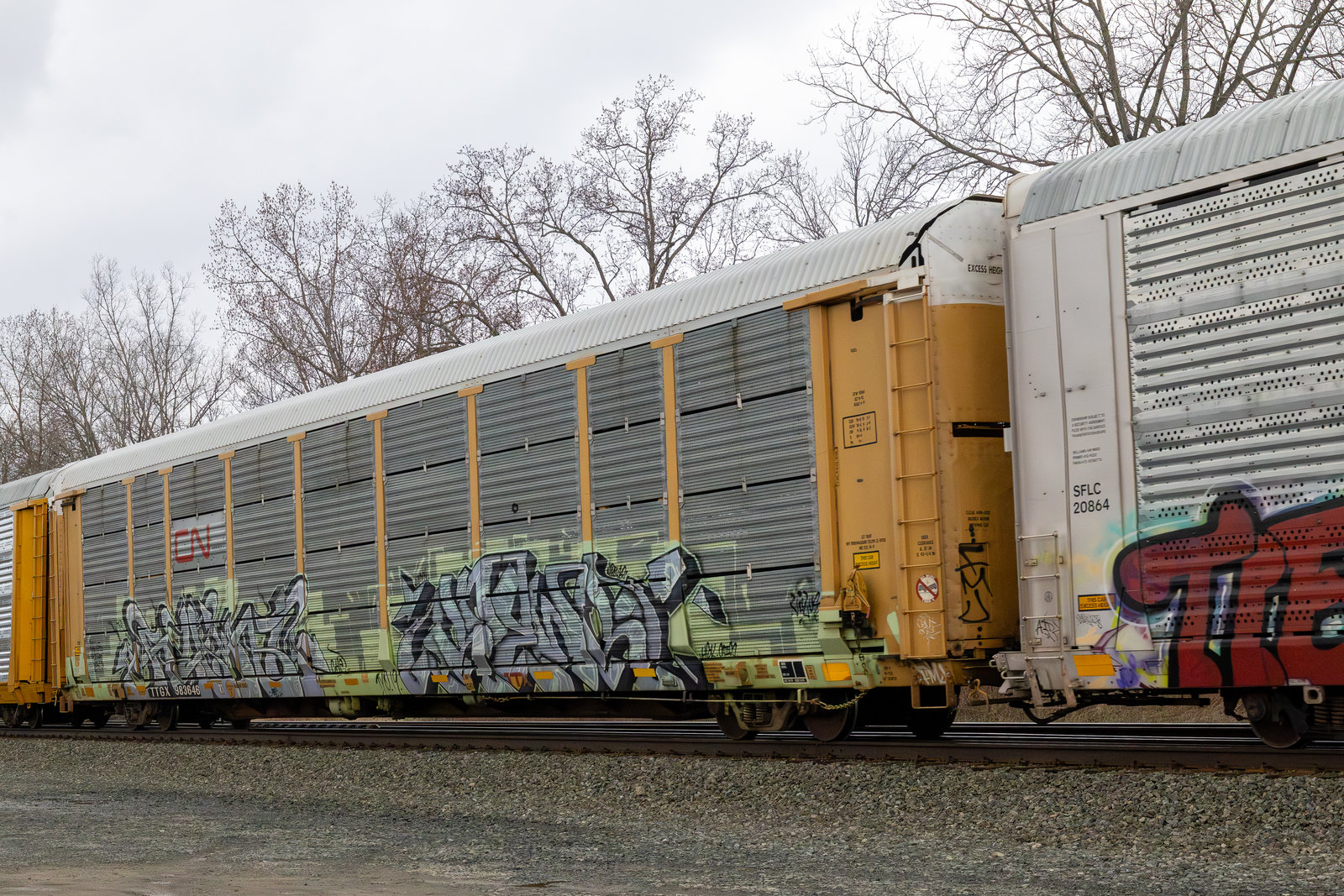 TTGX 983646
