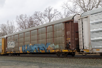 TTGX 973896