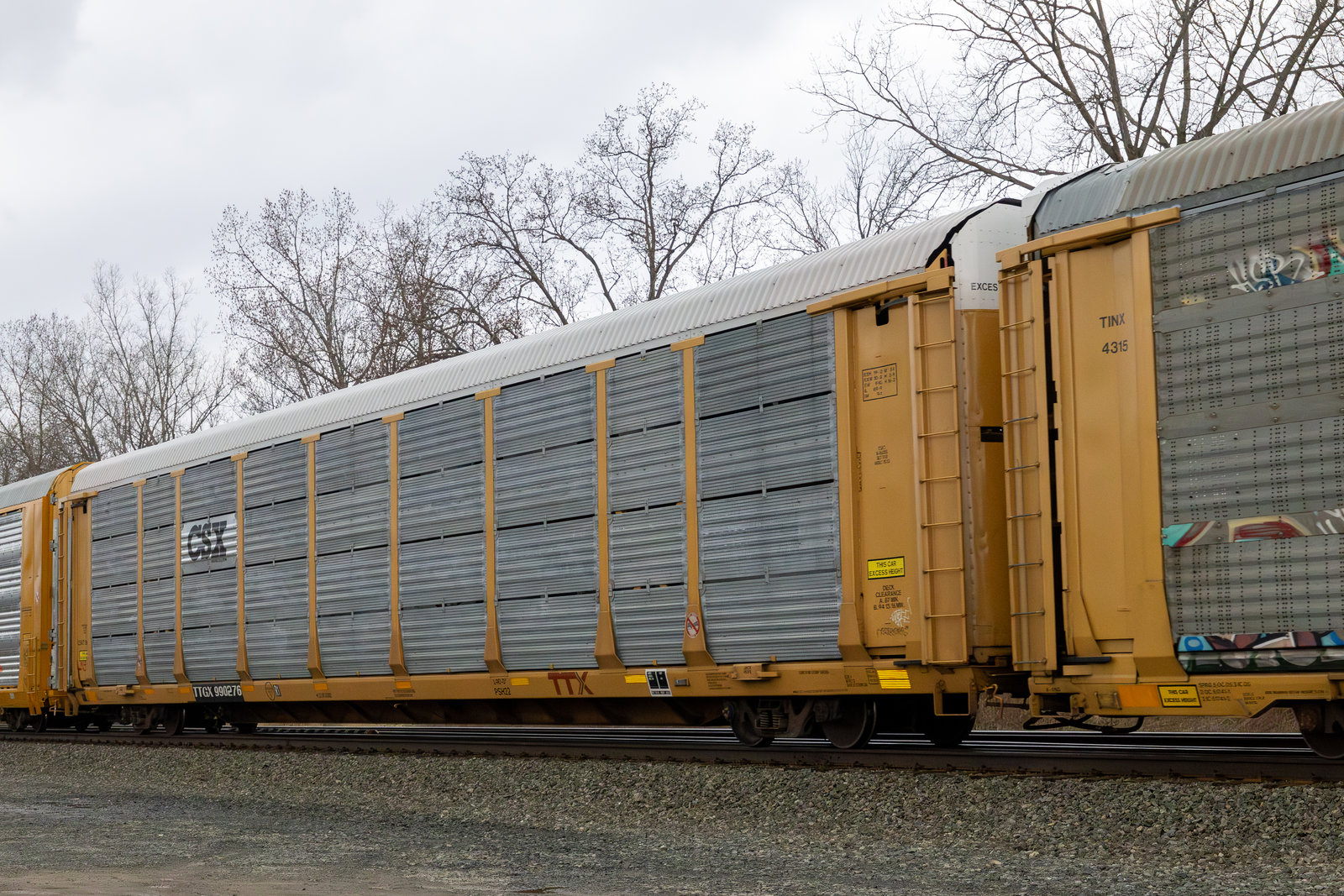 TTGX 990276