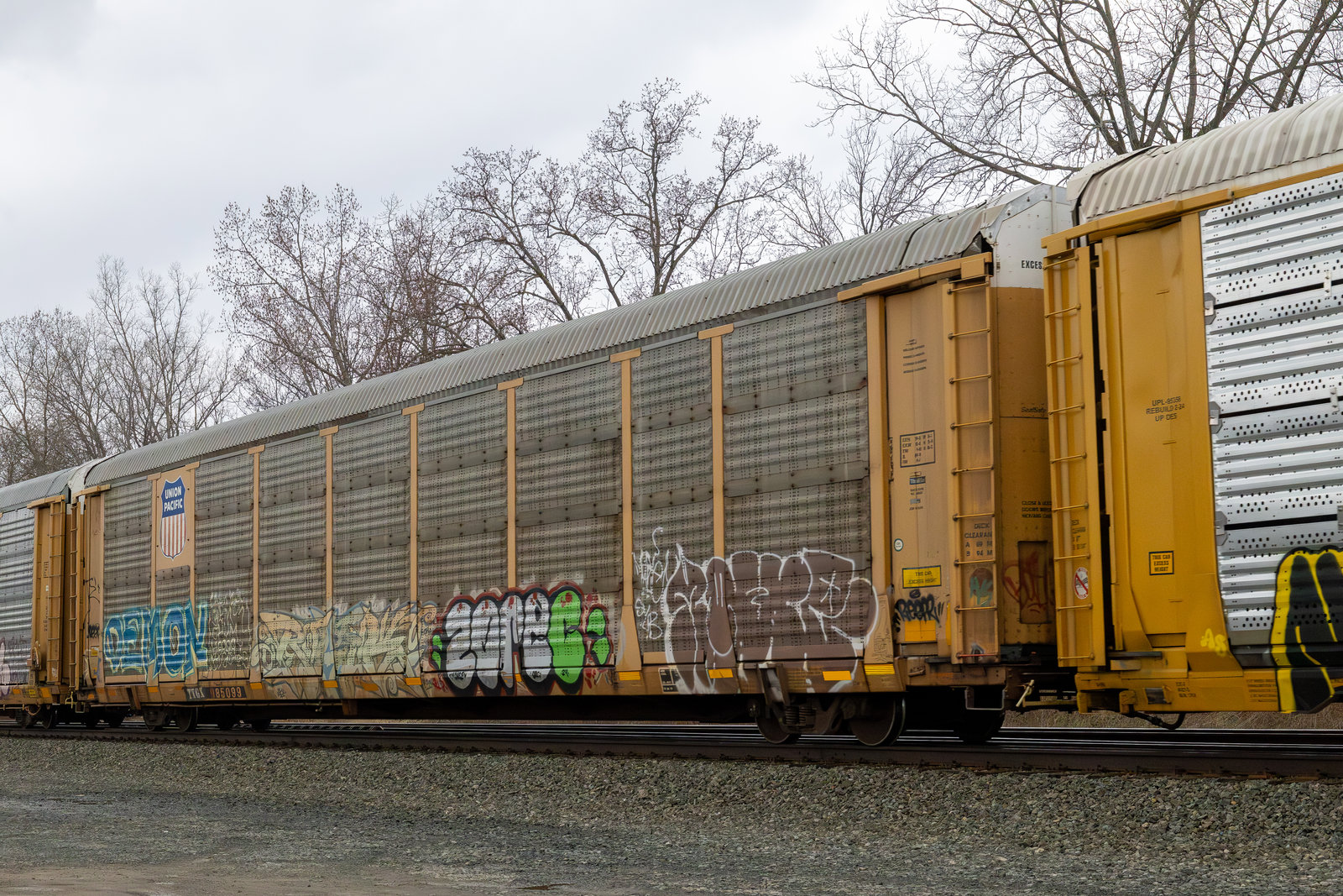 TTGX 985099