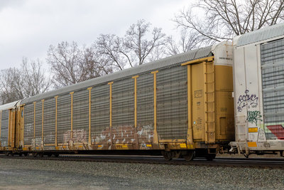 TTGX 989092