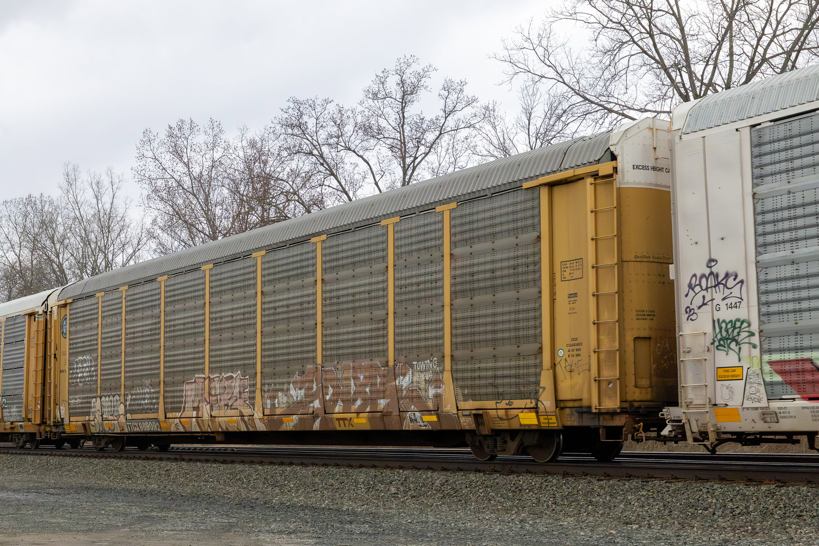 TTGX 989092