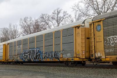 TTGX 973598