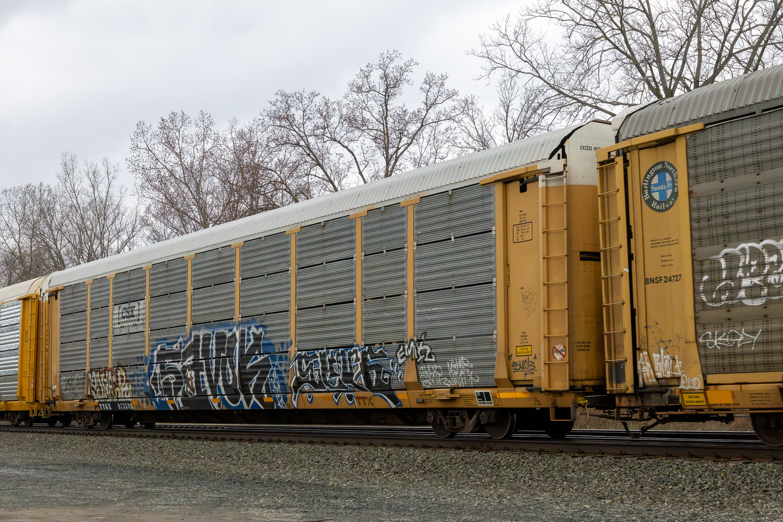 TTGX 973598