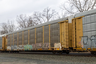 TTGX 985481