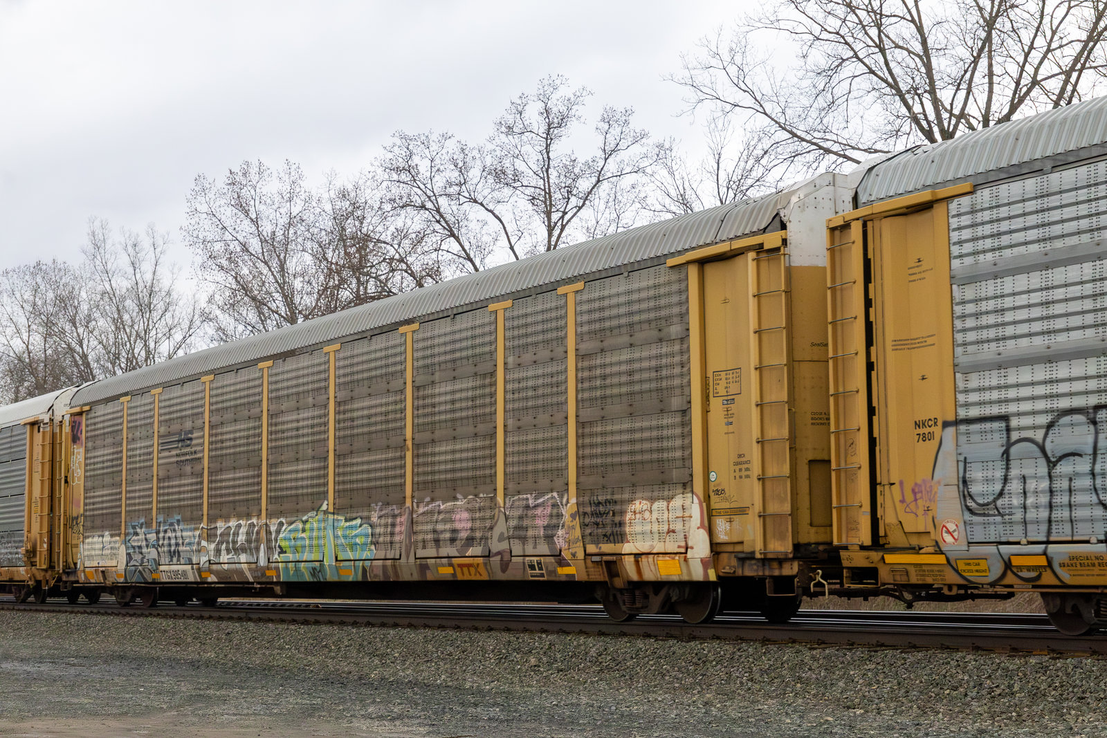 TTGX 985481