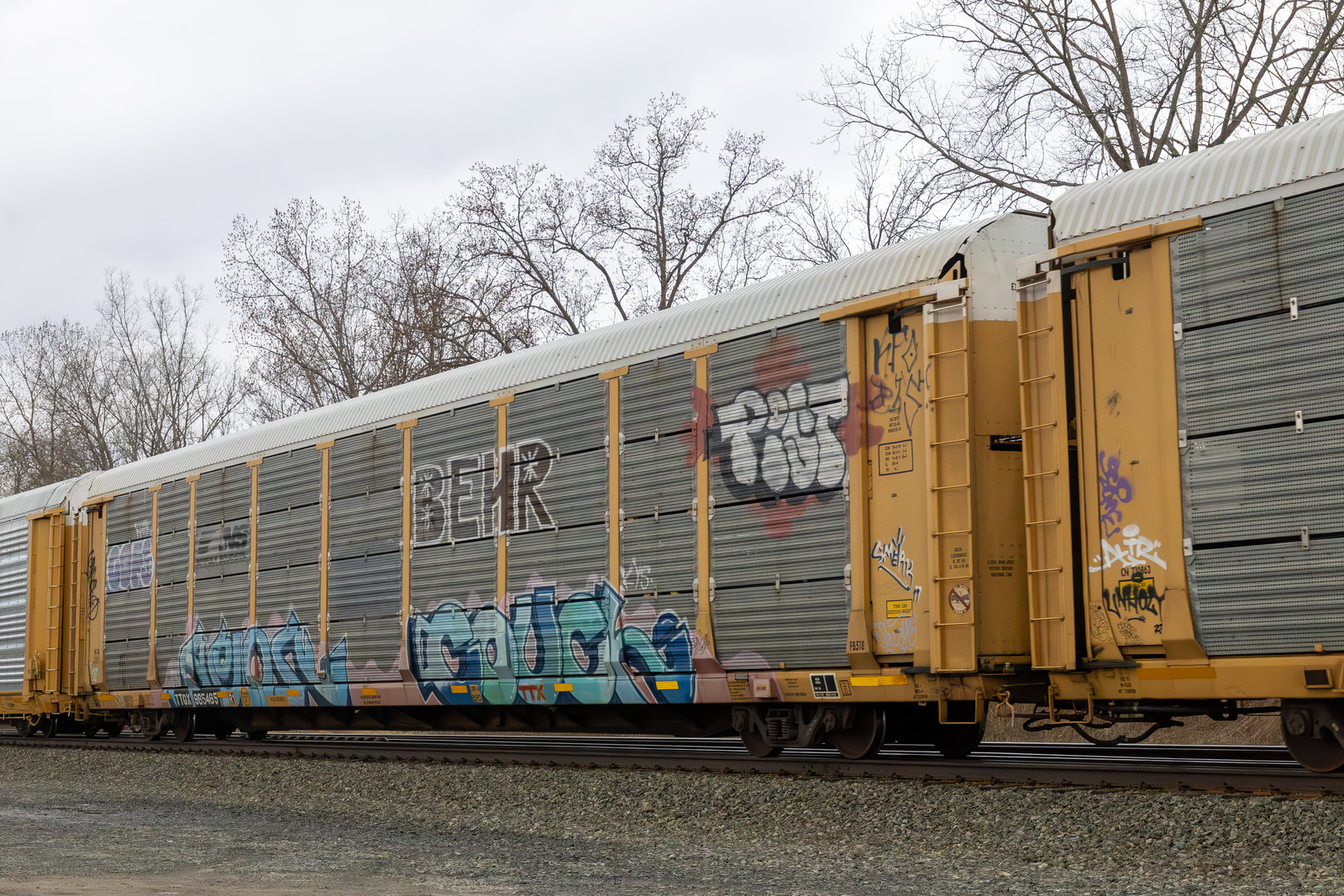 TTGX 965465