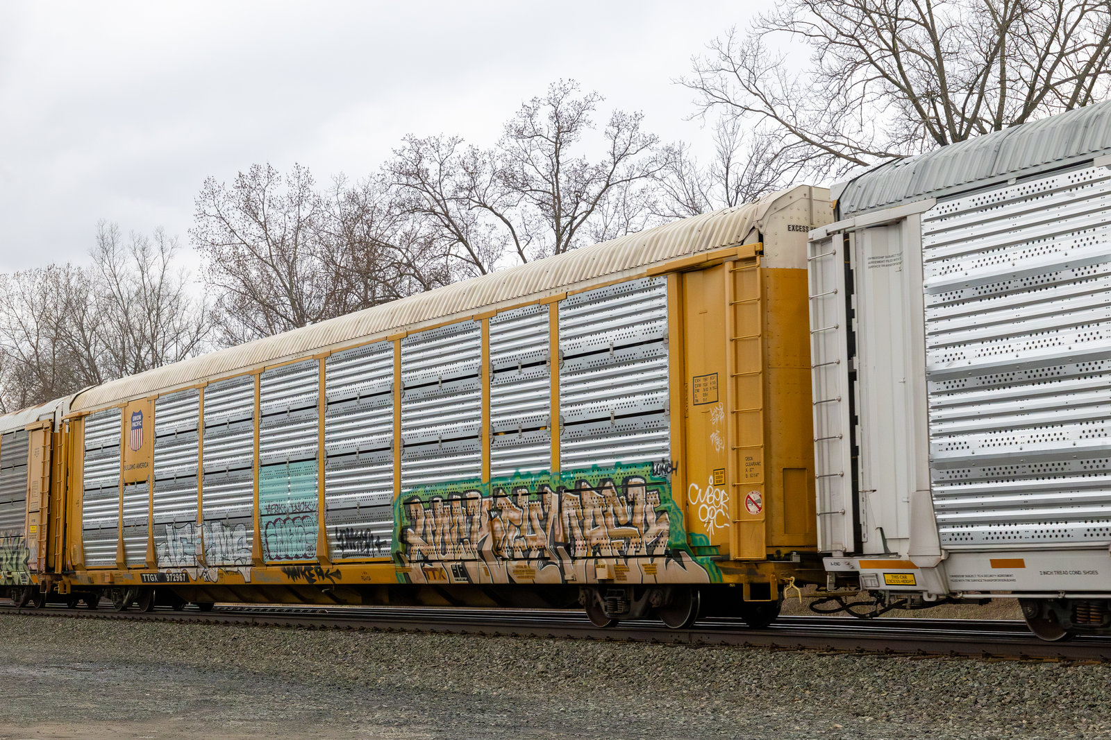 TTGX 972967