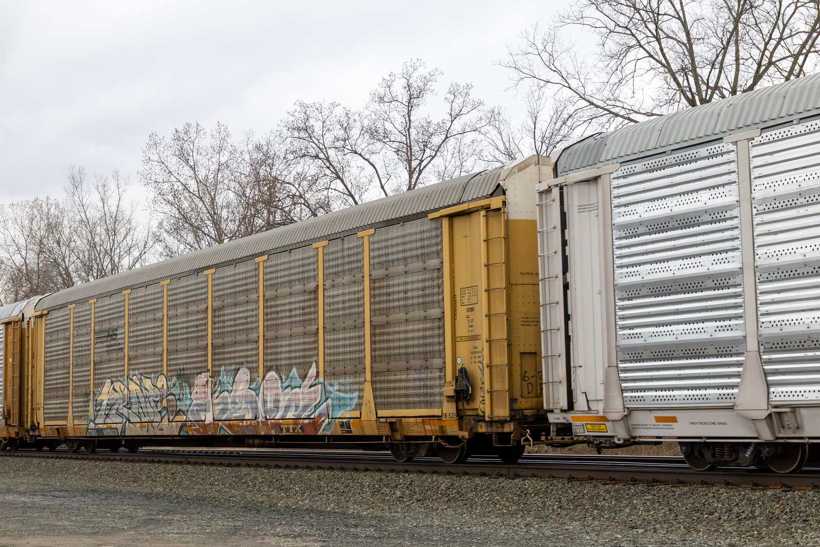 TTGX 985013