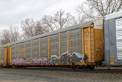 TTGX 987989