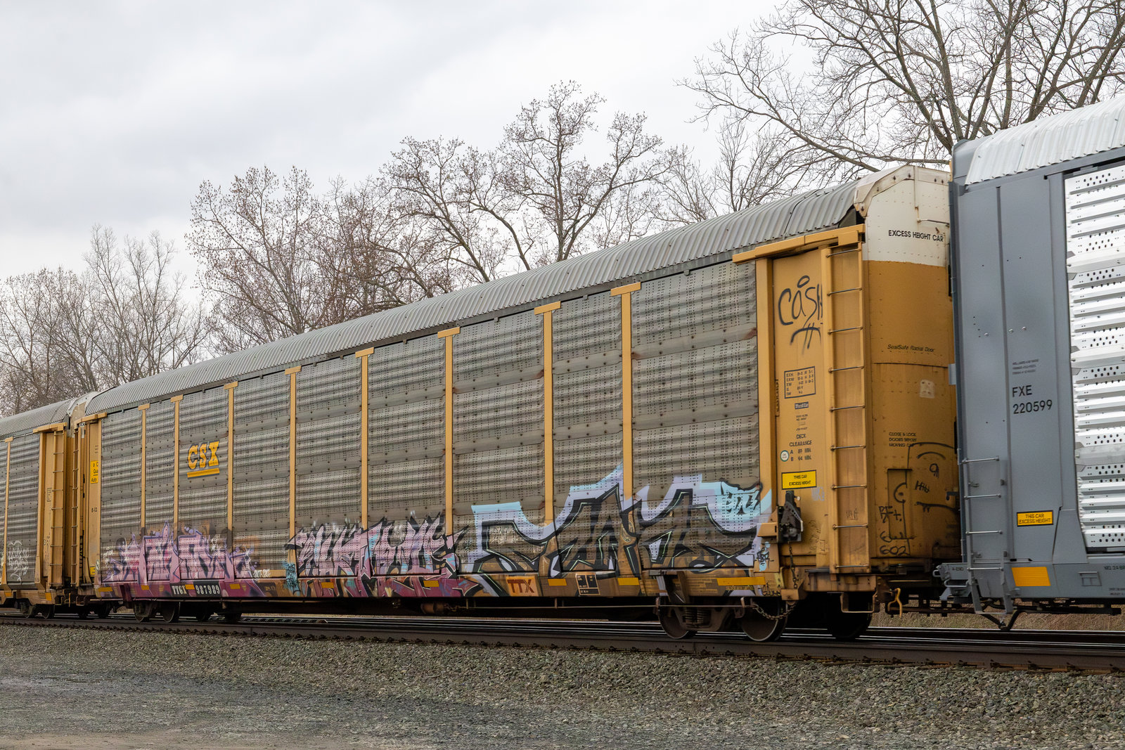 TTGX 987989