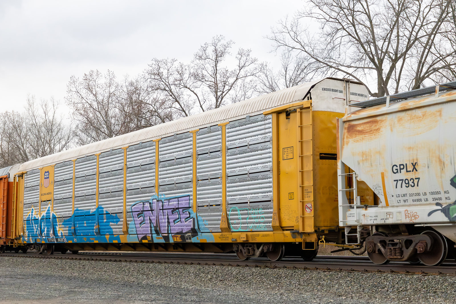 TTGX 963538
