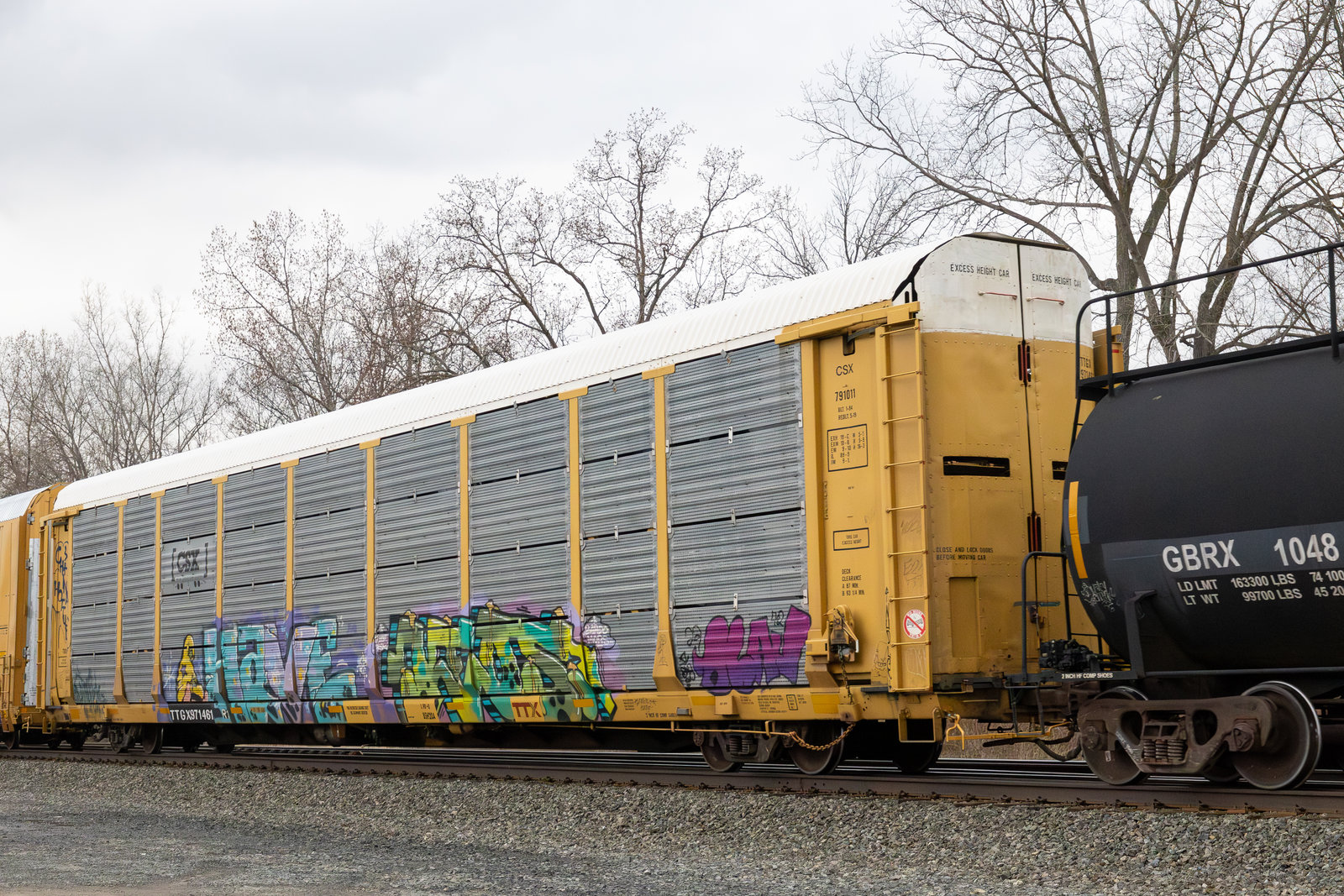 TTGX 971461