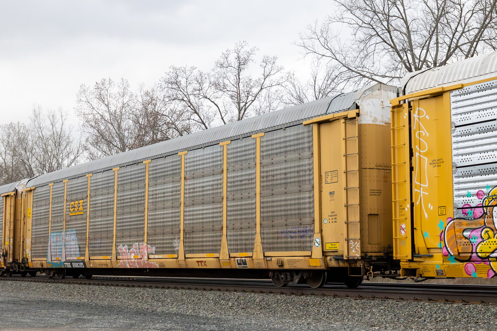 TTGX 996315