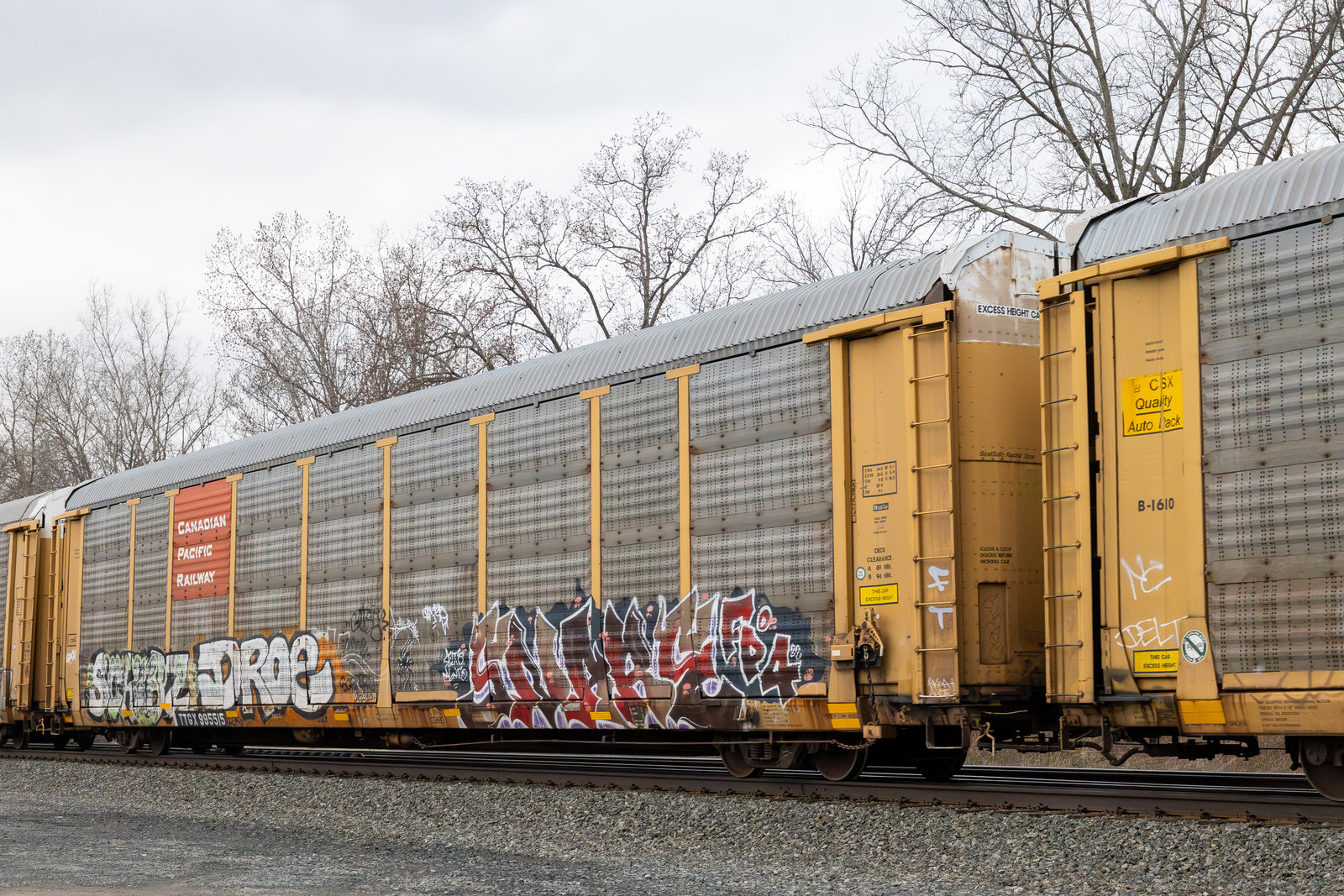 TTGX 995515