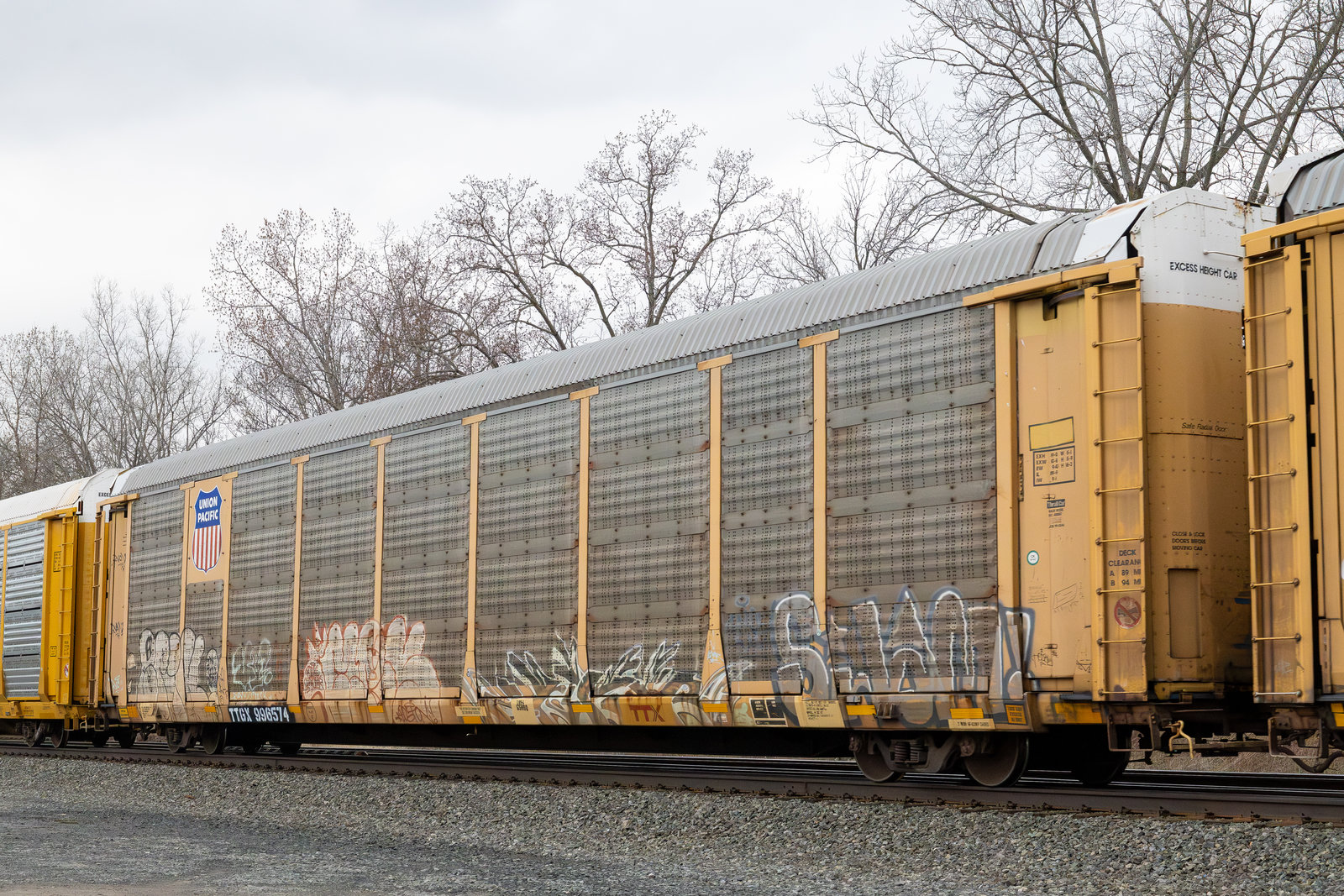 TTGX 996574