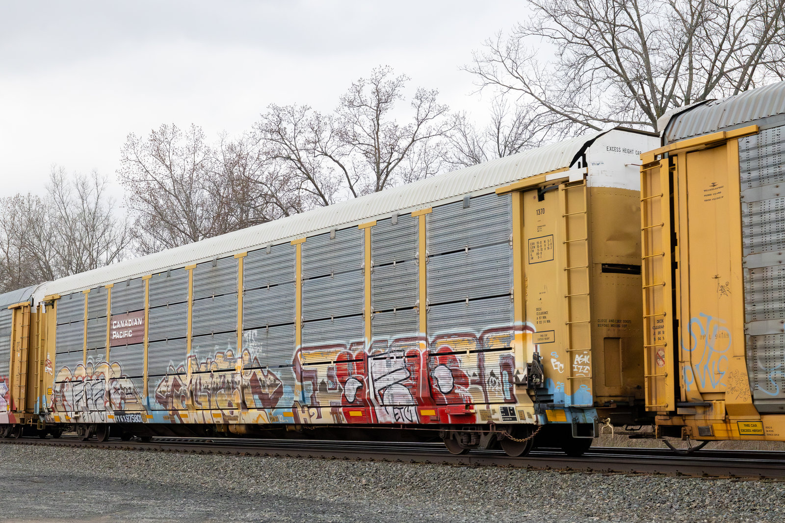 TTGX 975801