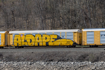 TTGX 980959