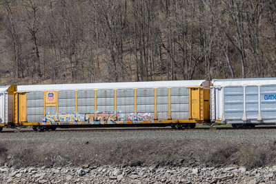 TTGX 981742