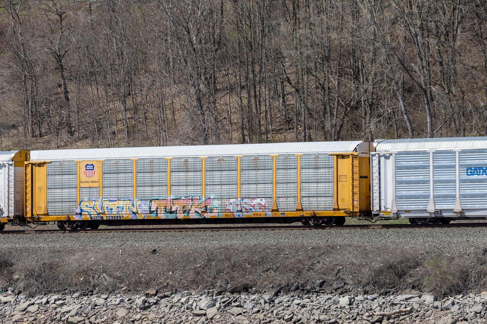 TTGX 981742