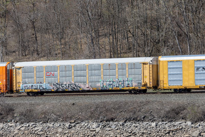 TTGX 991569