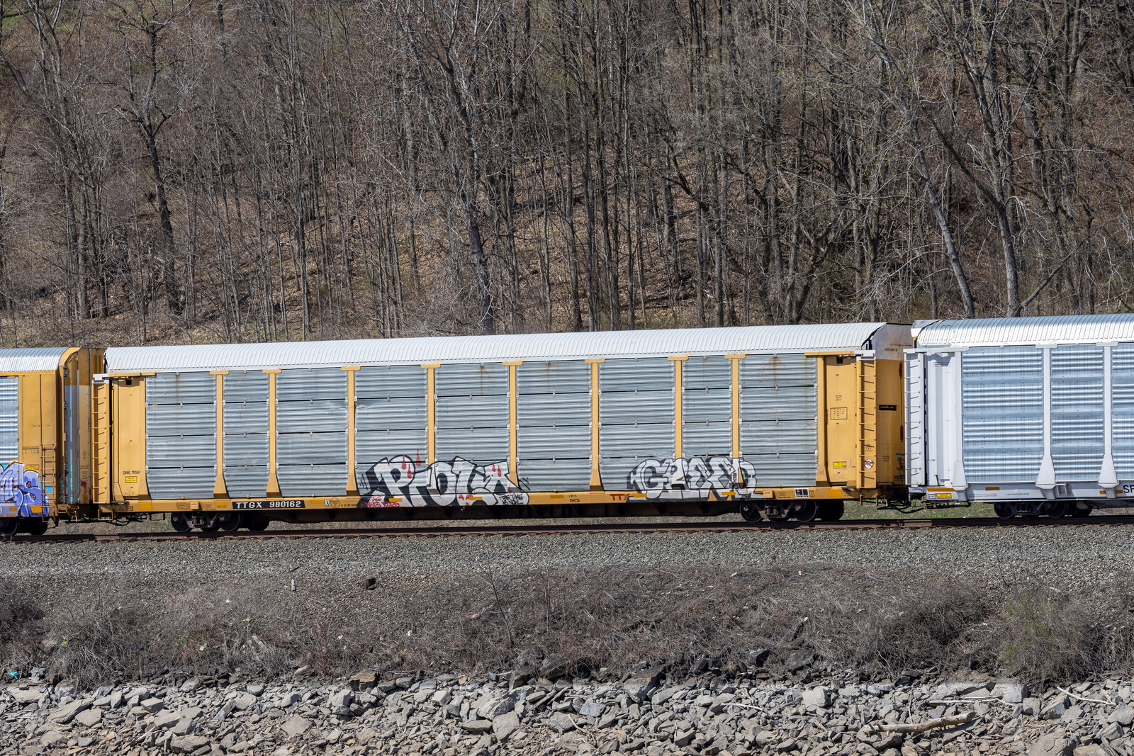 TTGX 980162