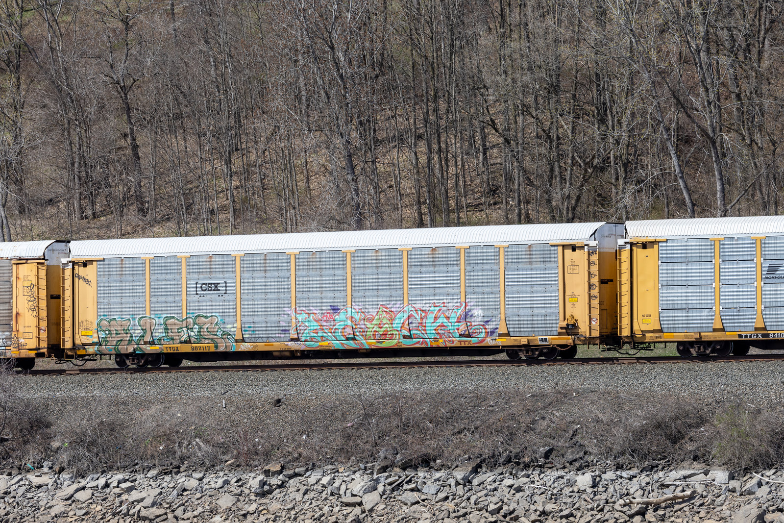 TTGX 962117