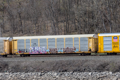 TTGX 941893