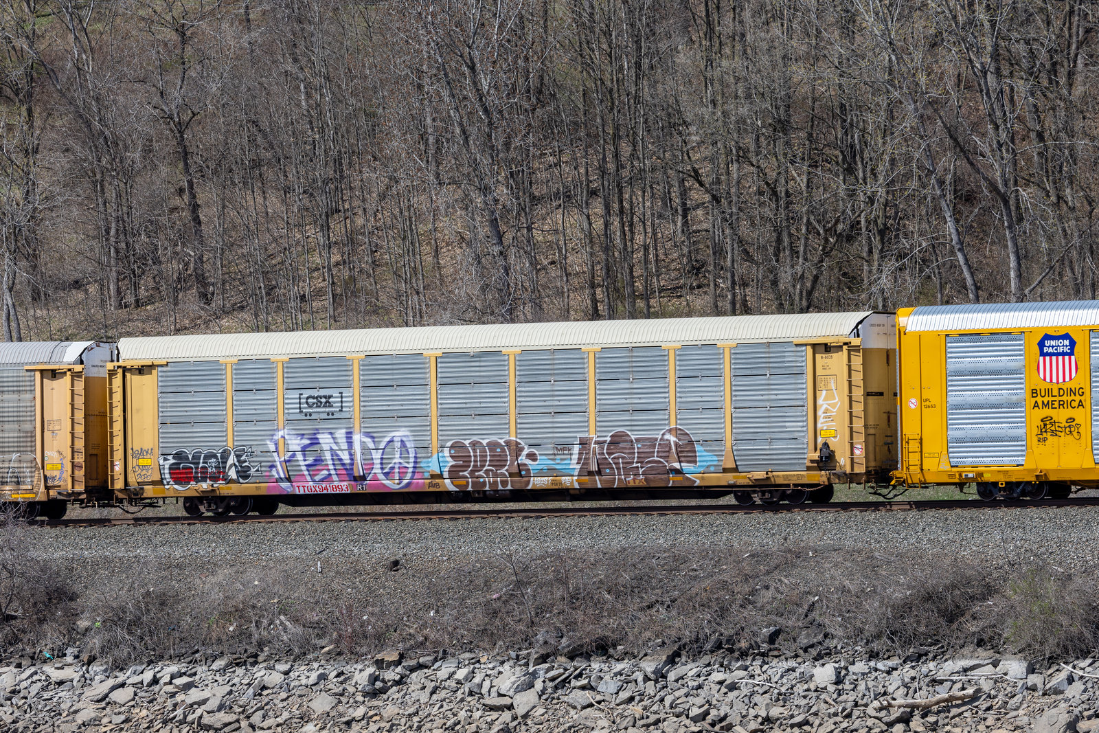 TTGX 941893