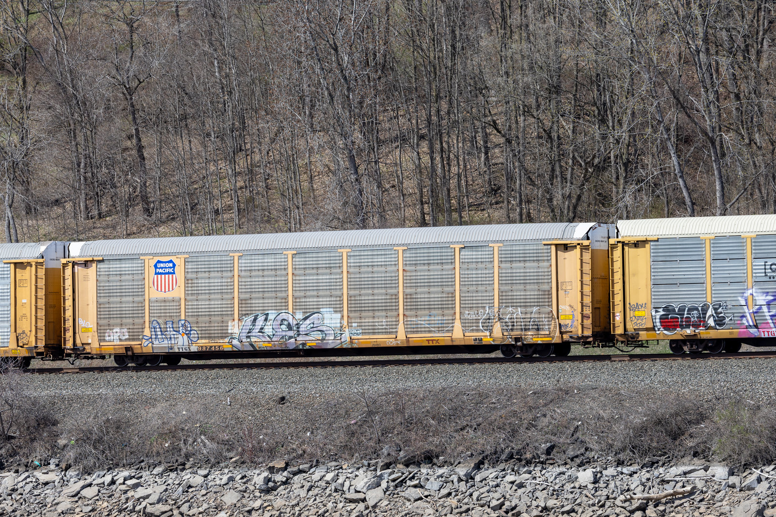 TTGX 987456