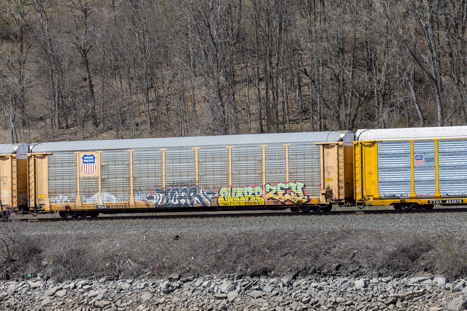 TTGX 986682