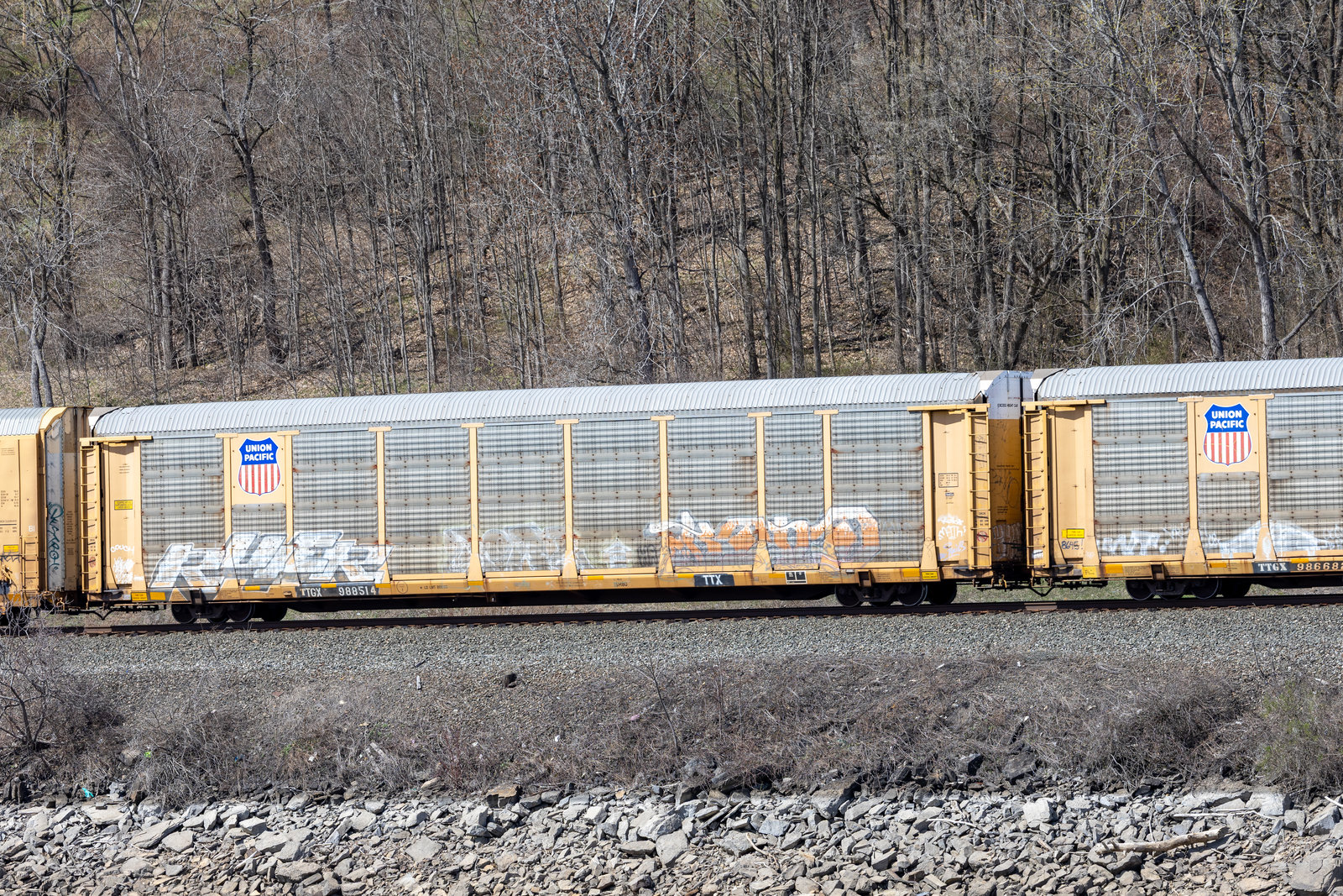 TTGX 988514