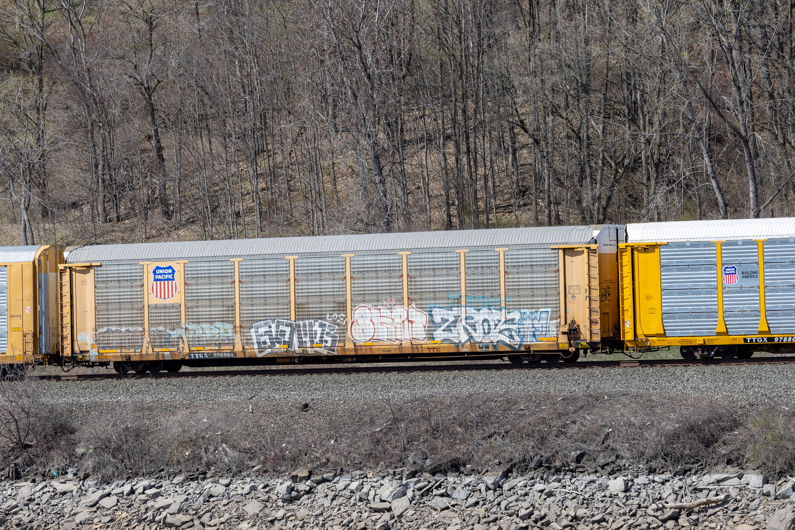 TTGX 996964
