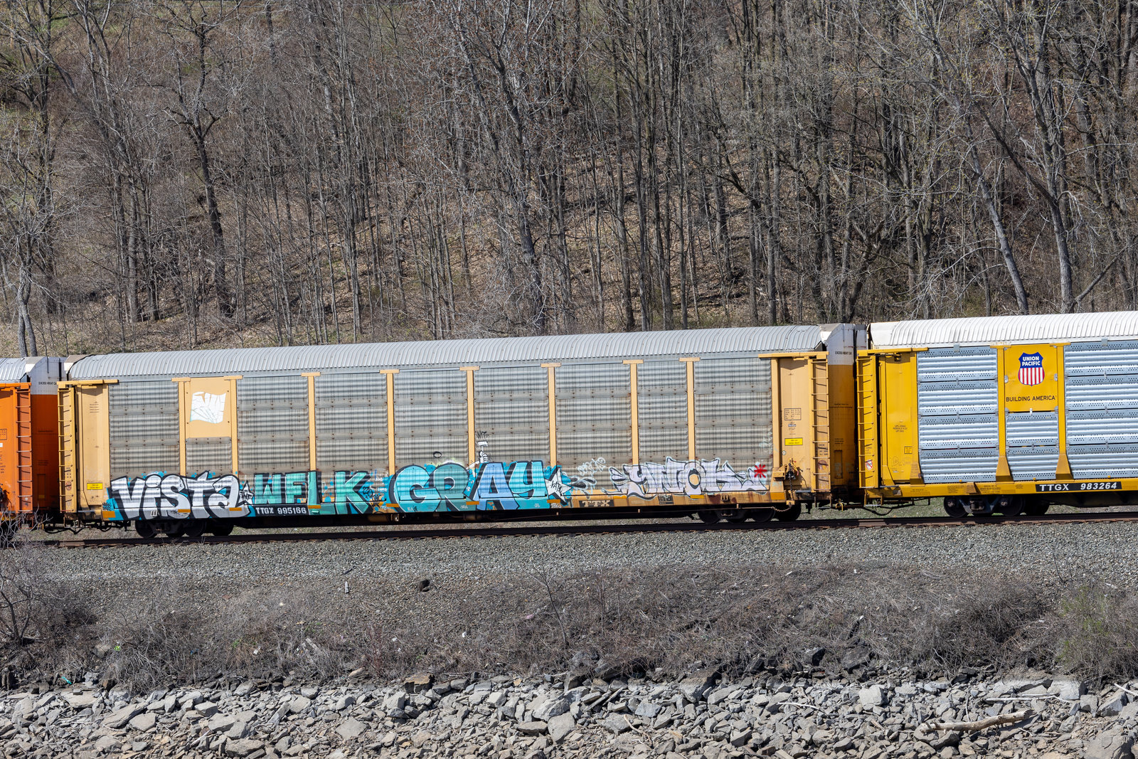 TTGX 995166