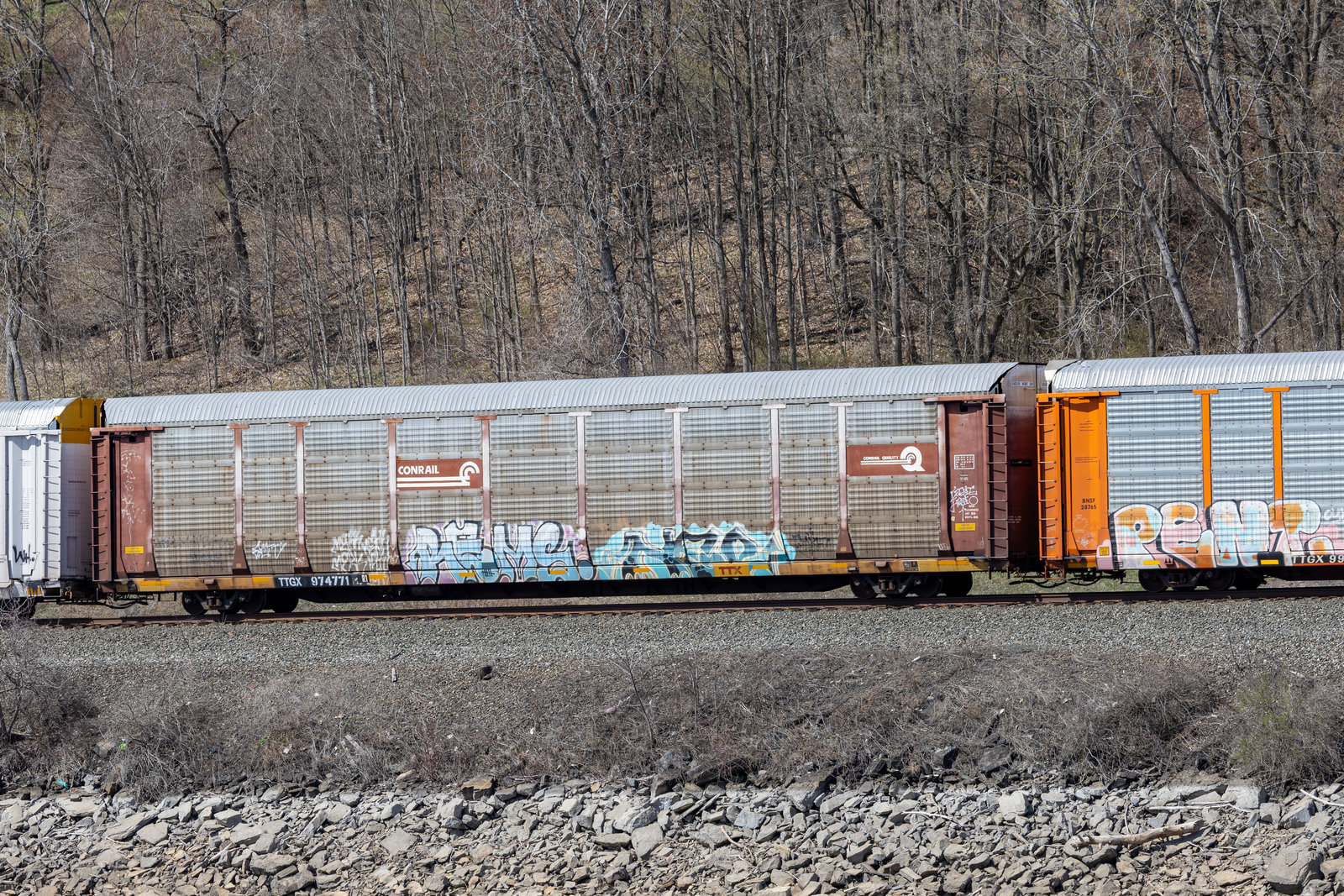 TTGX 974771