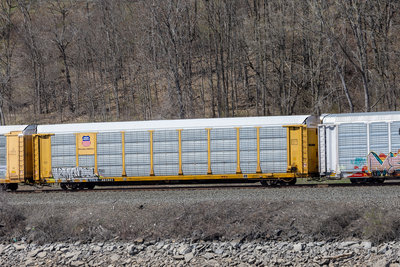 TTGX 991941