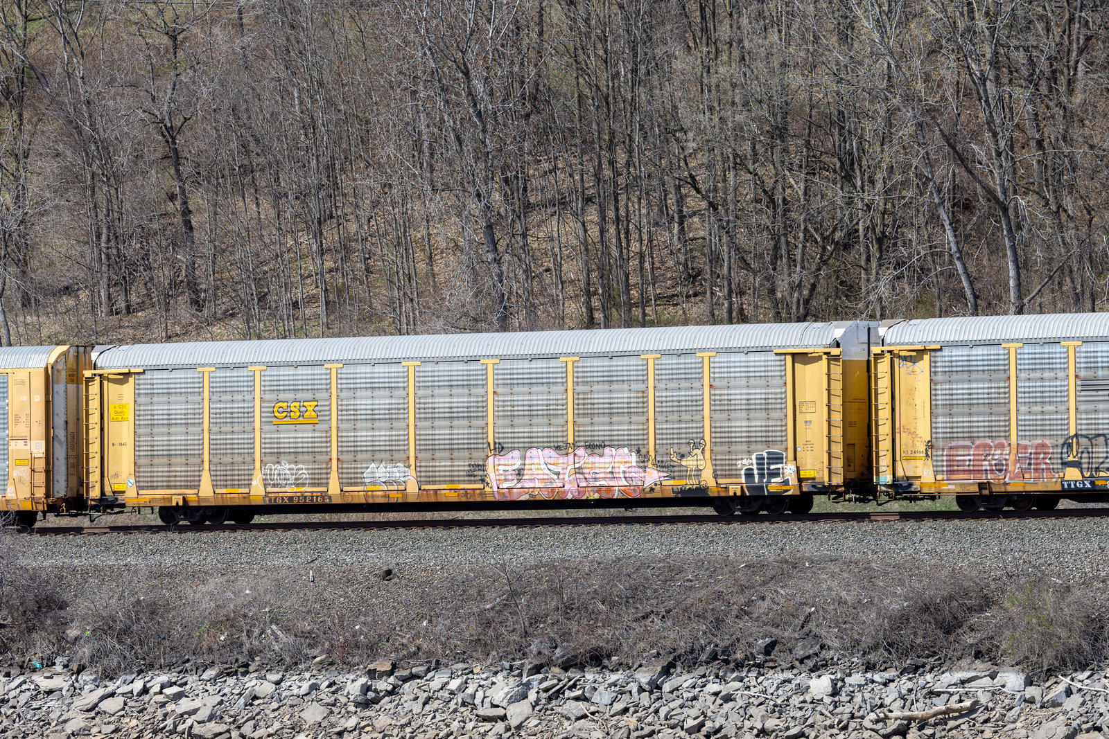 TTGX 952165