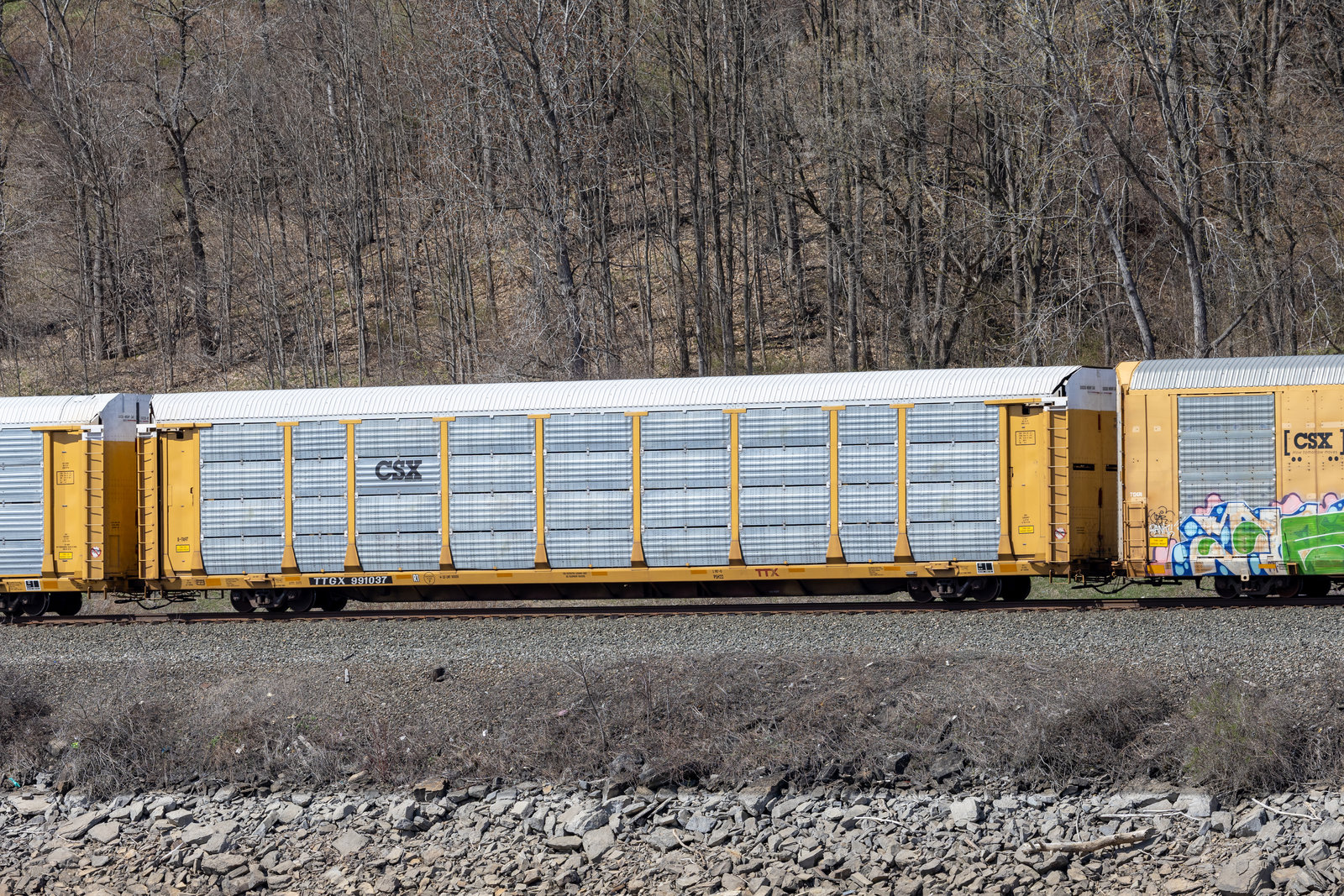 TTGX 991037