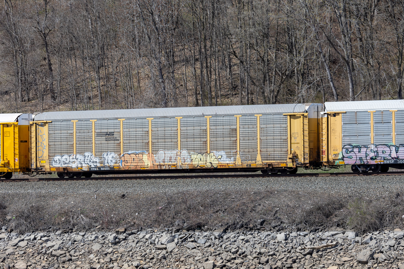 TTGX 986321