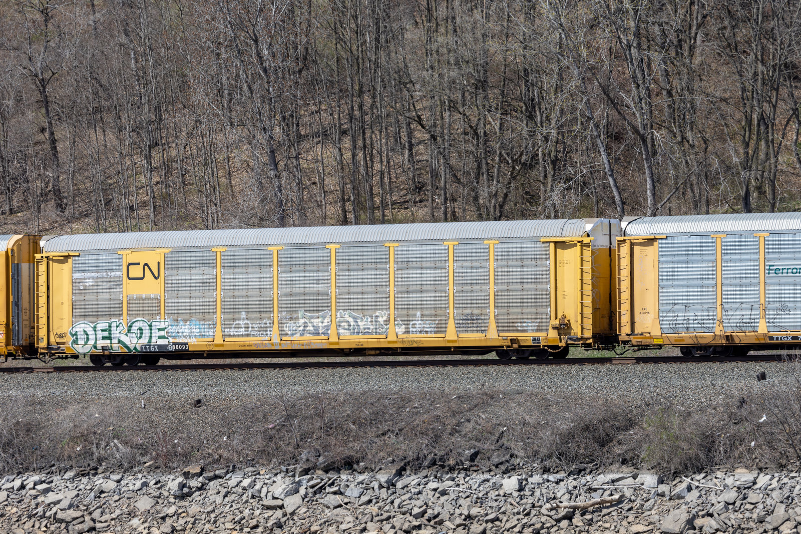 TTGX 986093