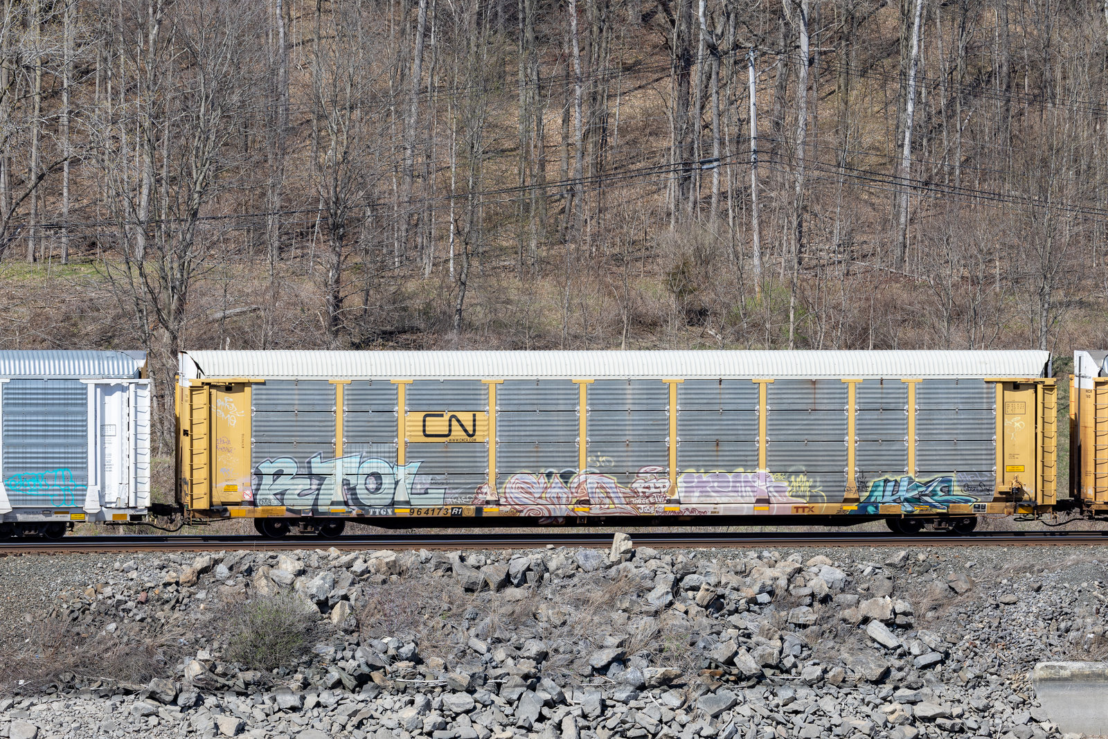 TTGX 964173