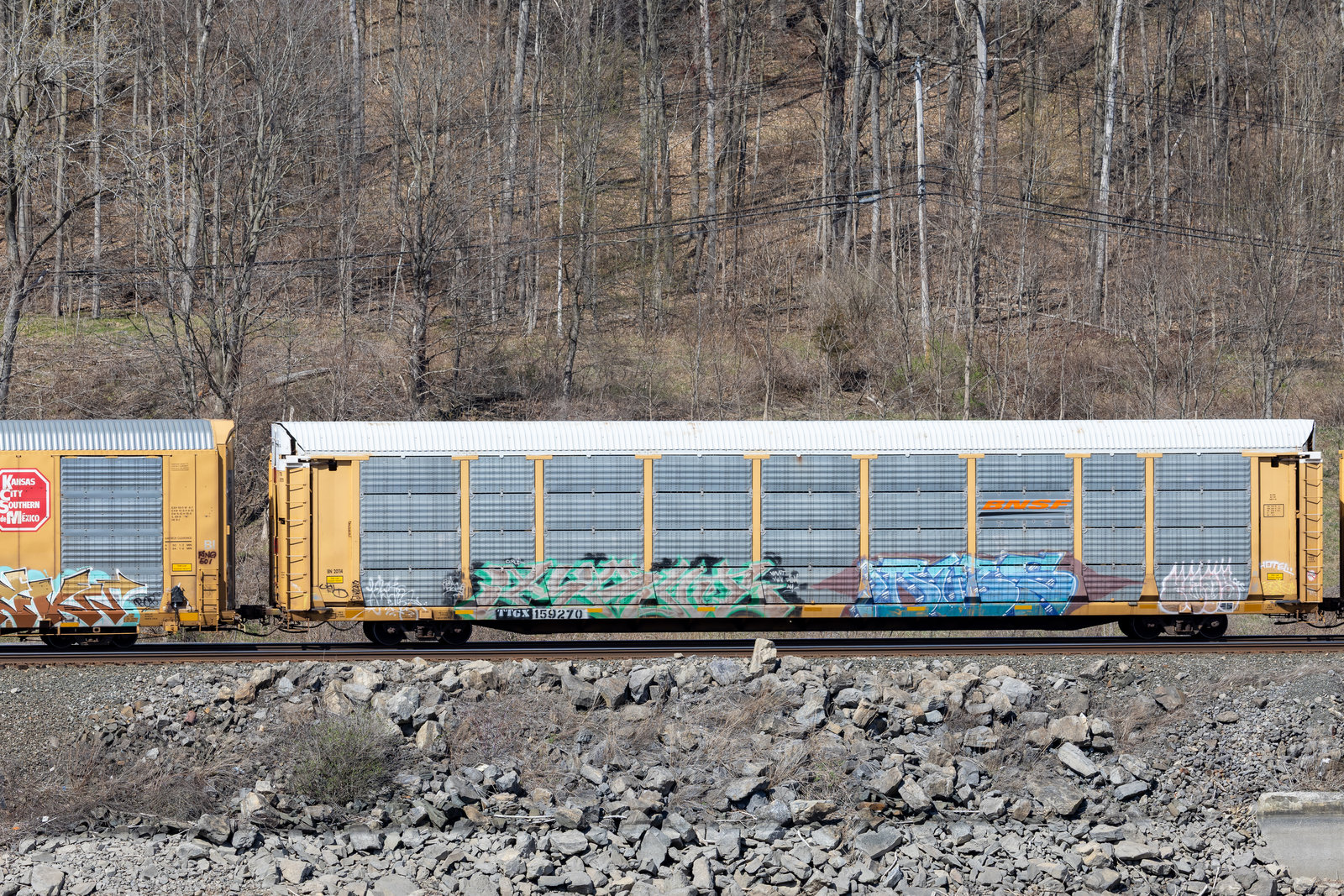 TTGX 159270