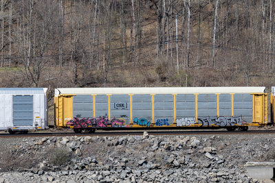 TTGX 979188