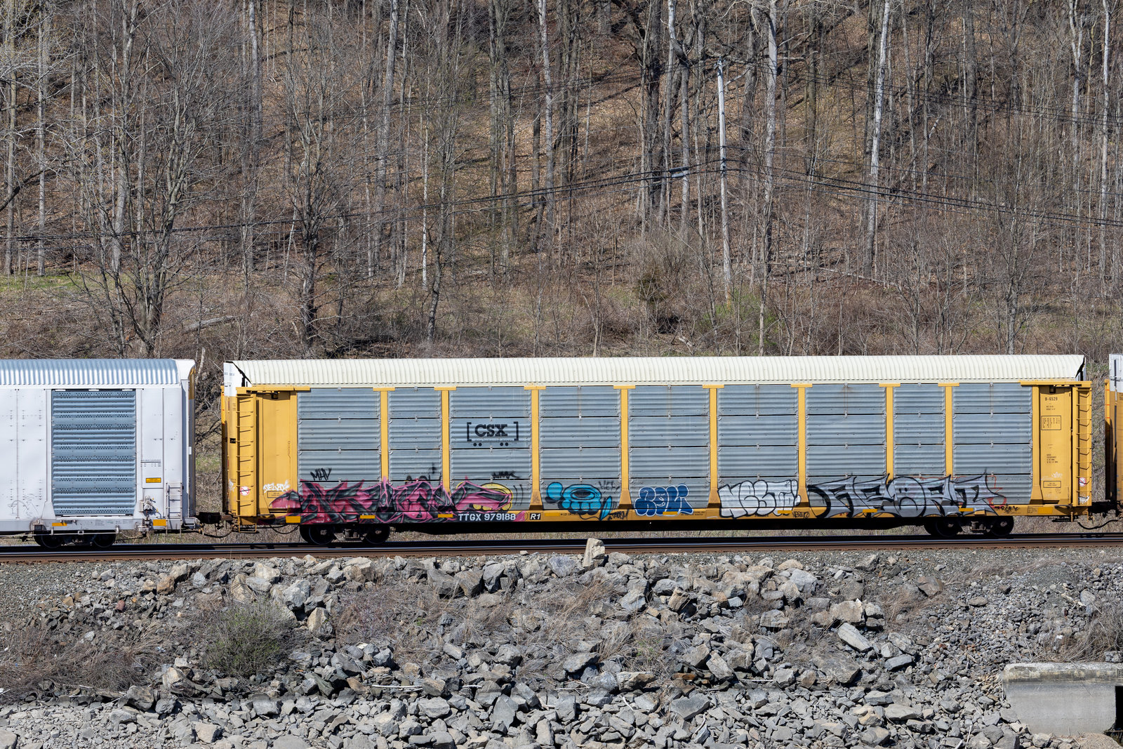 TTGX 979188