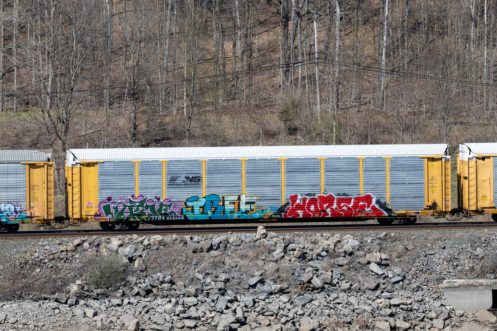 TTGX 975668