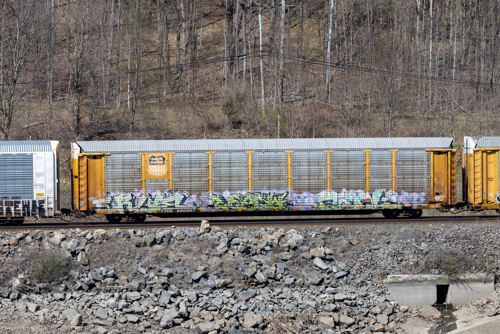 TTGX 990667