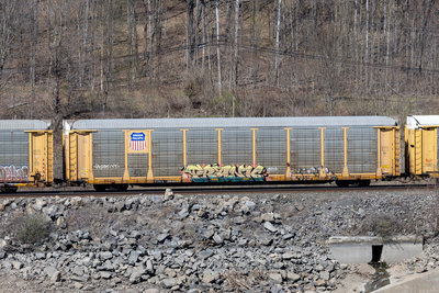 TTGX 994843